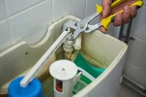toilet repair alpine